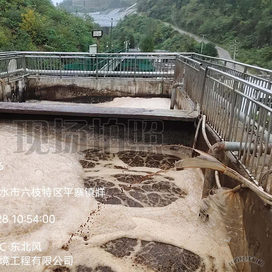 女性自慰麻豆WWW渗滤液处理中泡沫产生的危害